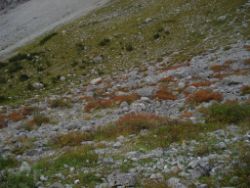 2013-09-08_7Falkenhuette_Eng (008).JPG